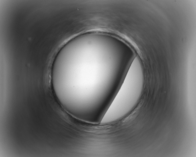 X0000088881367200706080732