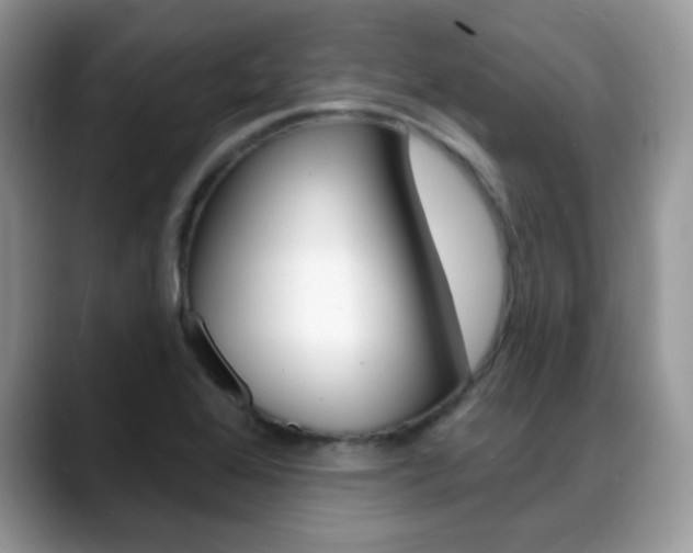 X0000088881368200706080732