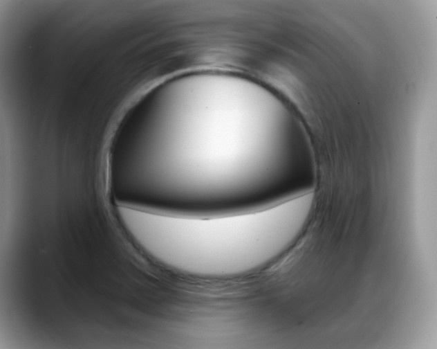 X0000088881371200706080732