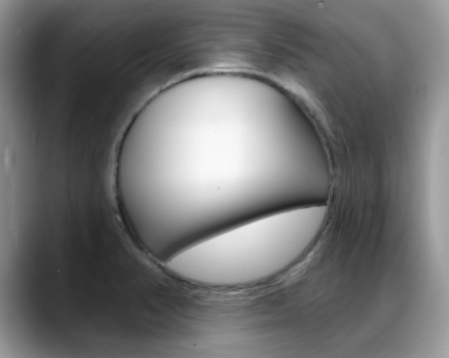X0000088881374200706080732
