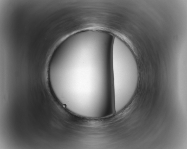X0000088881375200706080732