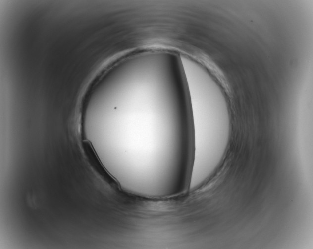 X0000088881376200706080732
