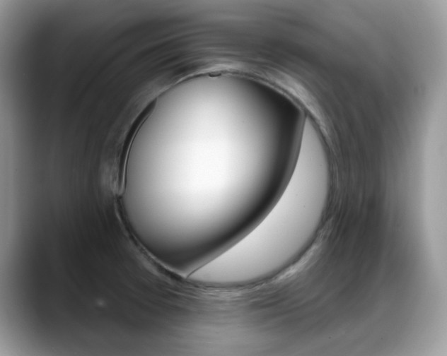 X0000088881377200706080732