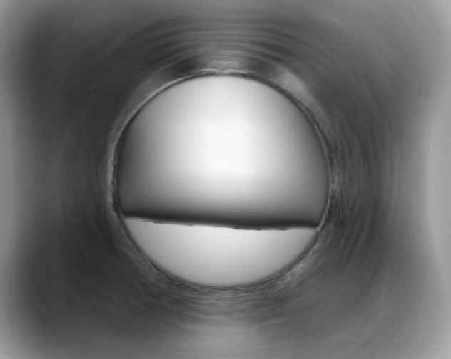 X0000088881378200706080732
