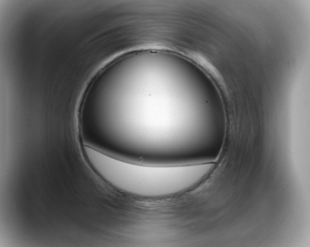 X0000088881380200706080732
