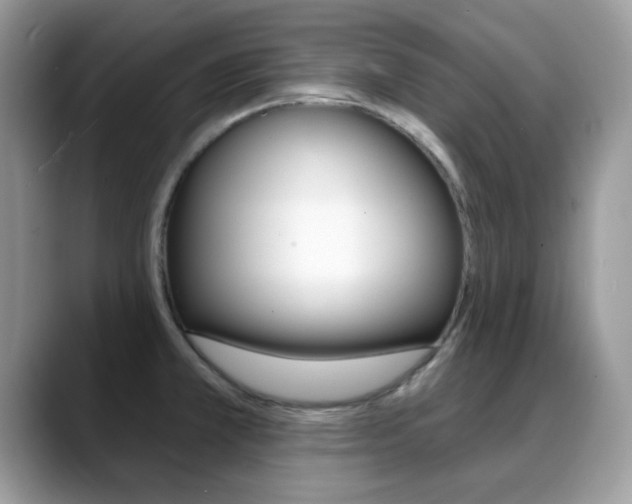 X0000088881381200706080732
