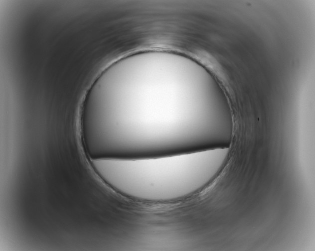 X0000088881382200706080732