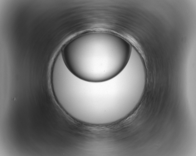 X0000088881384200706080732