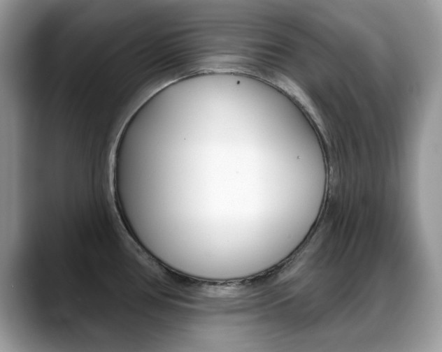 X0000088881386200706080732