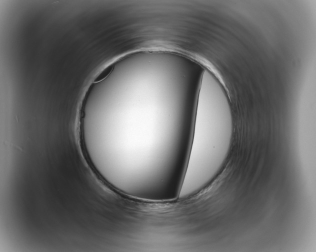 X0000088881387200706080732
