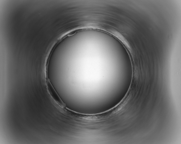 X0000088881388200706080732