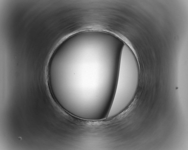 X0000088881389200706080732