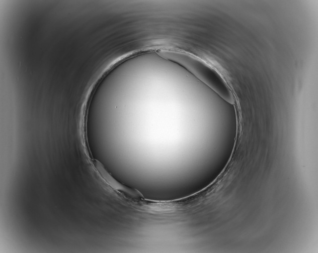X0000088881392200706080732