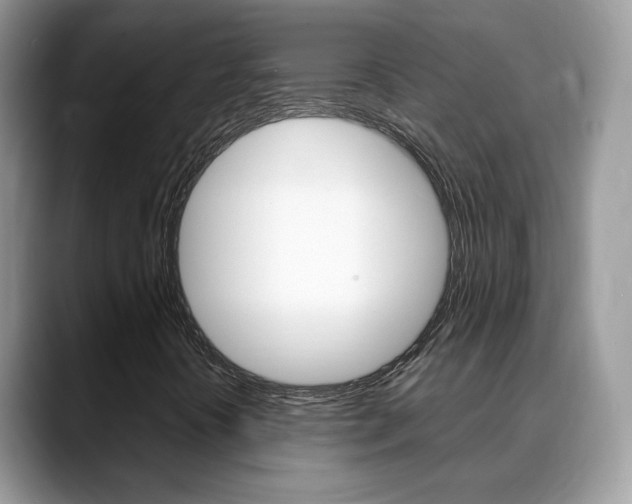 X0000088881394200706080731
