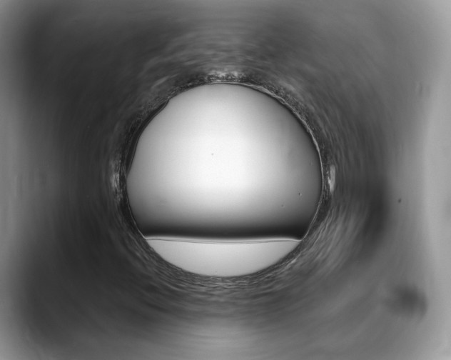 X0000088881396200706080731