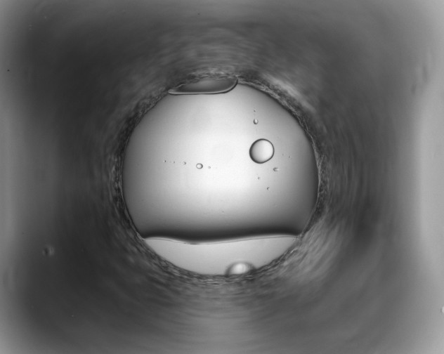 X0000088881399200706080732