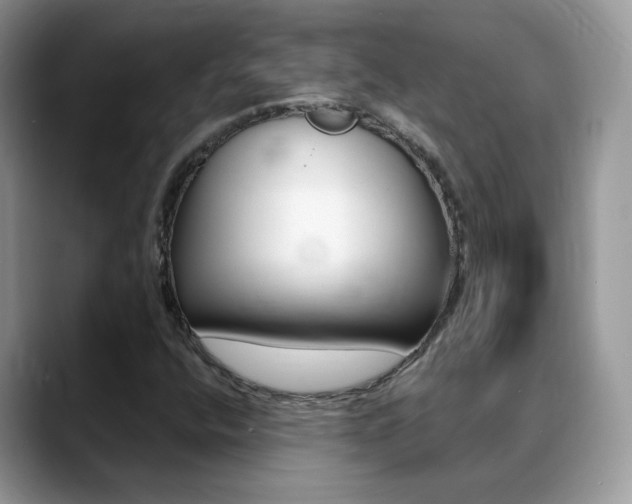 X0000088881400200706080732