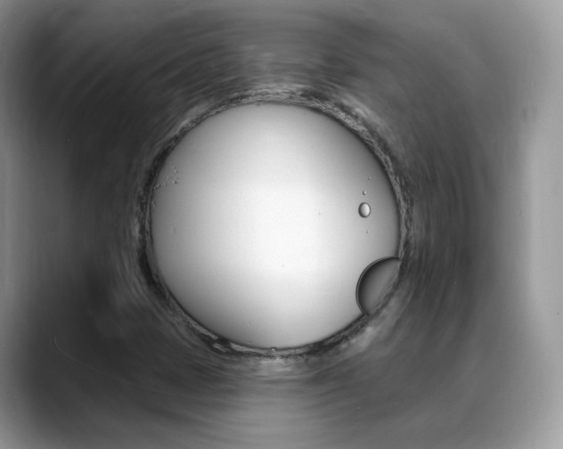 X0000088881401200706080732