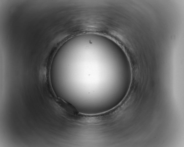 X0000088881402200706080732