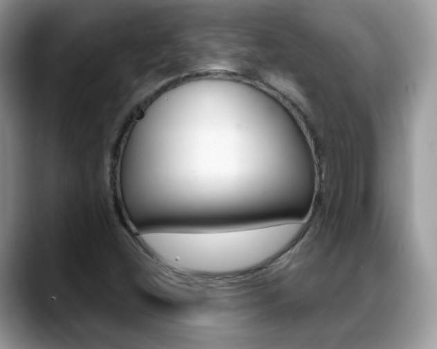 X0000088881404200706080732
