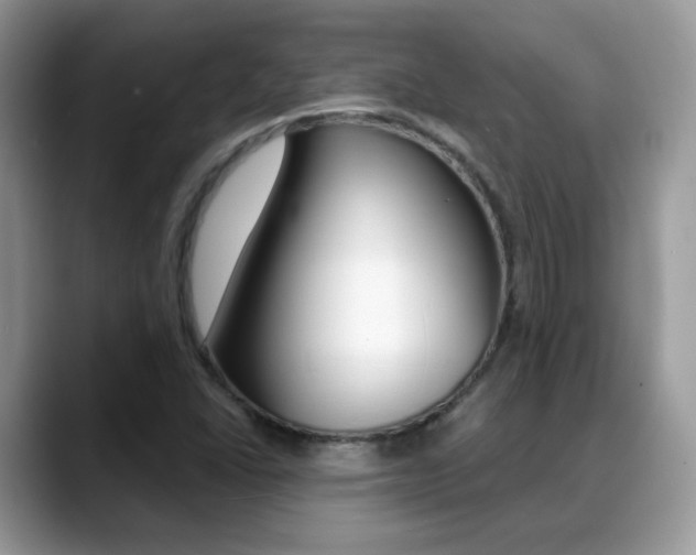 X0000088881406200706080732