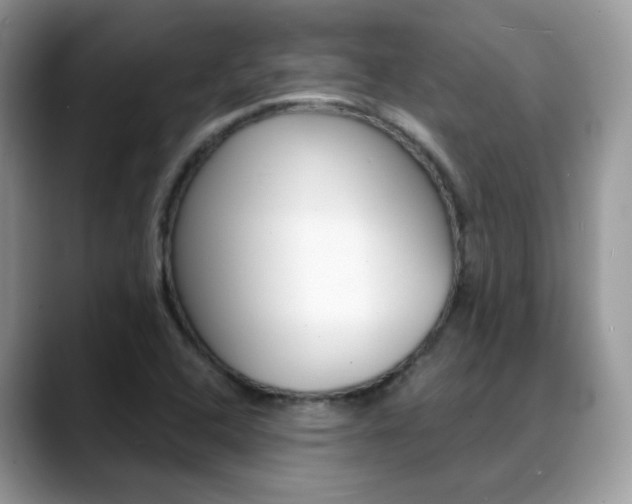 X0000088881408200706080732