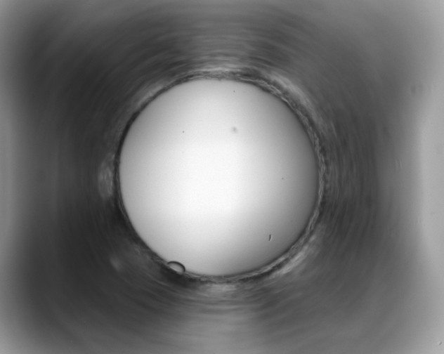 X0000088881409200706080732