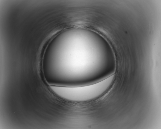 X0000088881410200706080732