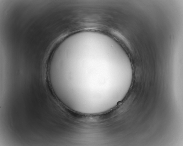 X0000088881411200706080732
