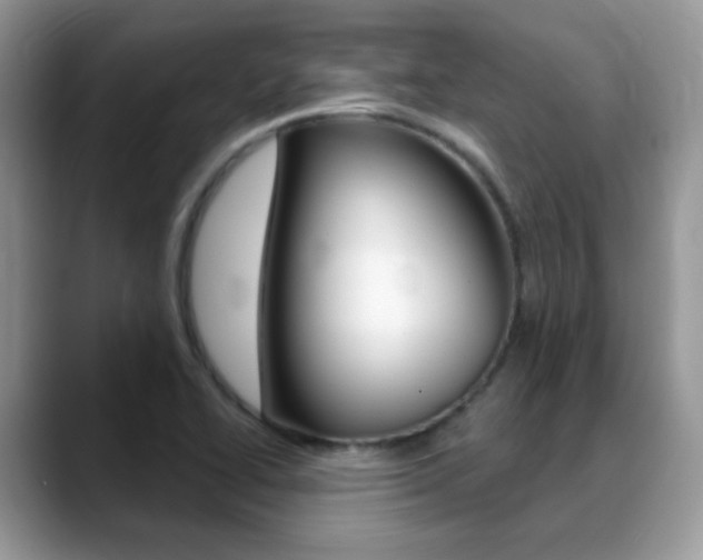 X0000088881414200706080732