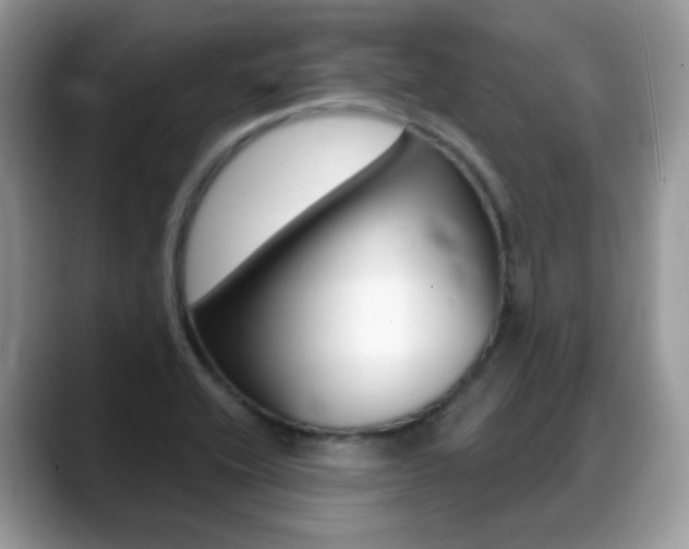 X0000088881416200706080732