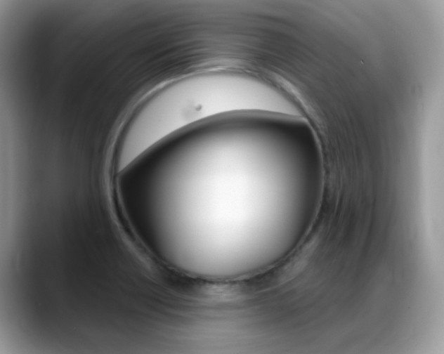 X0000088881418200706080732