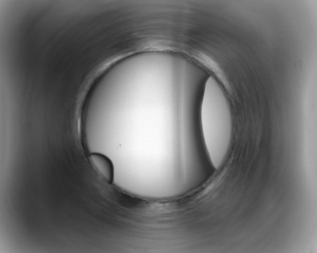 X0000088881419200706080732