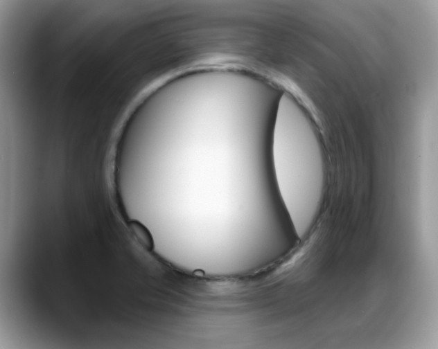 X0000088881421200706080732