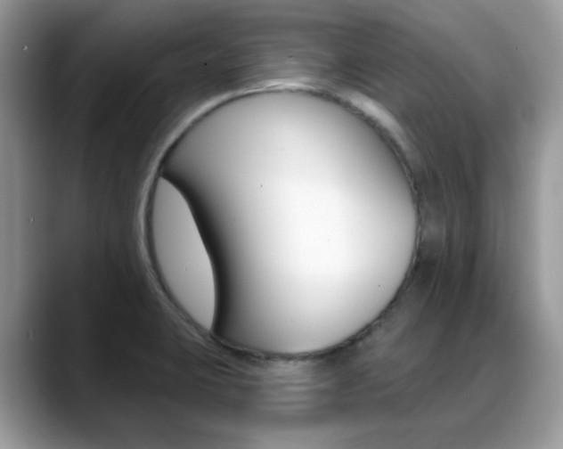 X0000088881423200706080732