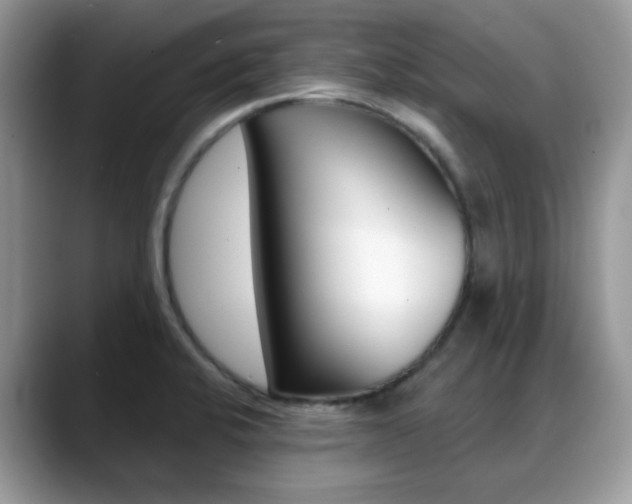 X0000088881424200706080732