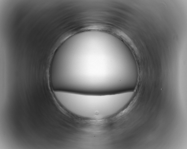 X0000088881425200706080732