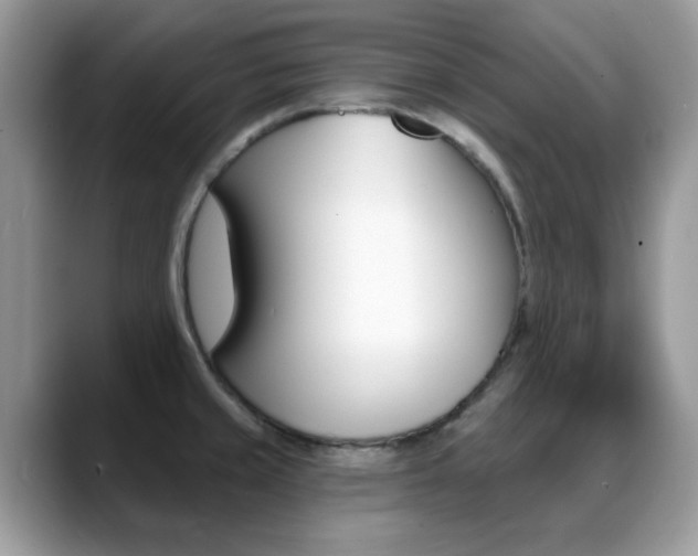 X0000088881429200706080732