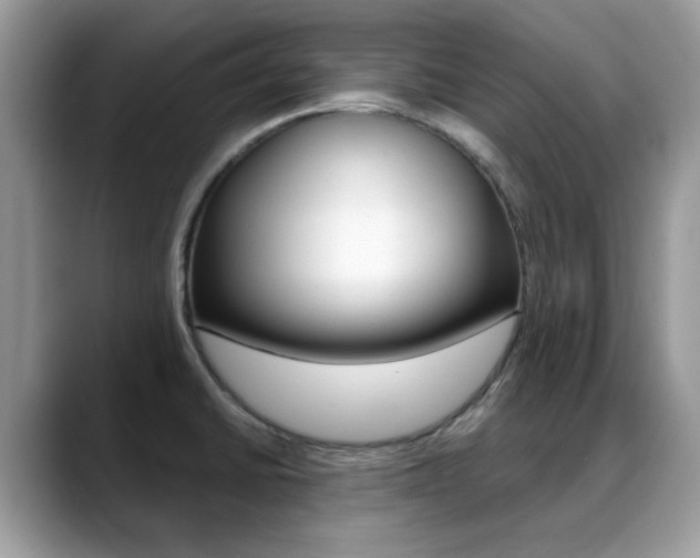 X0000088881430200706080732