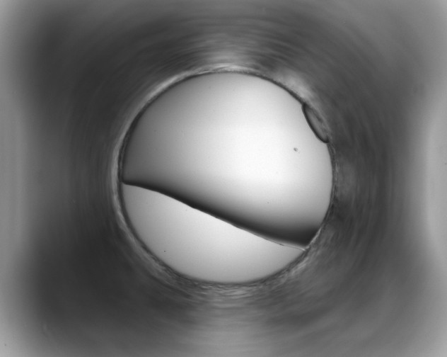 X0000088881431200706080732