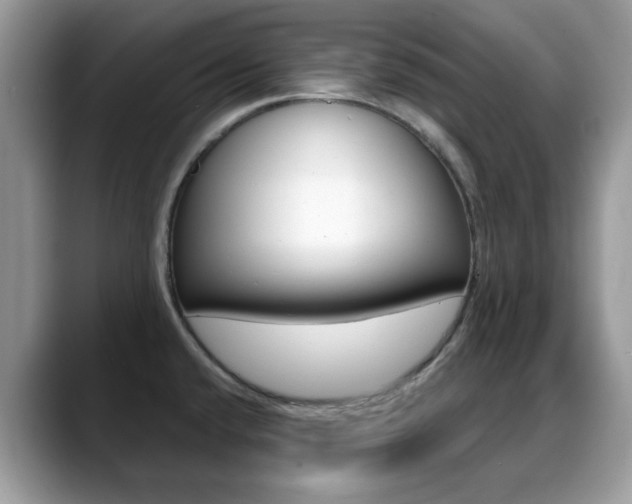 X0000088881432200706080732