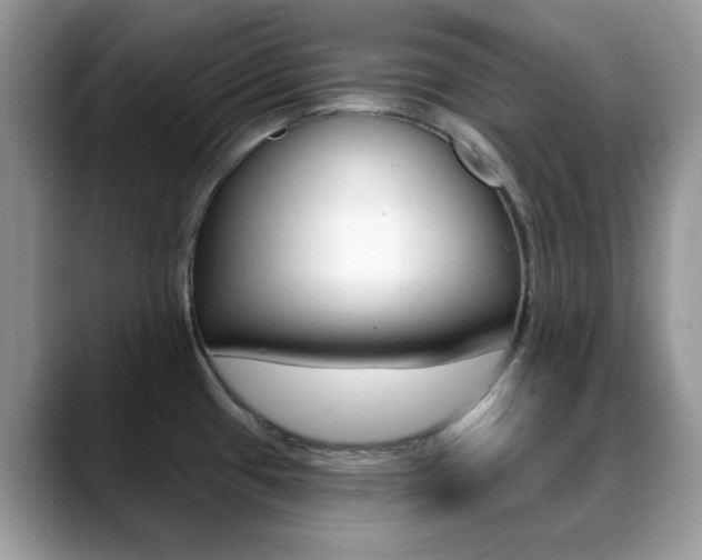 X0000088881433200706080732