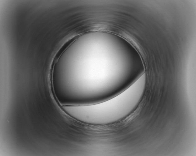 X0000088881434200706080732