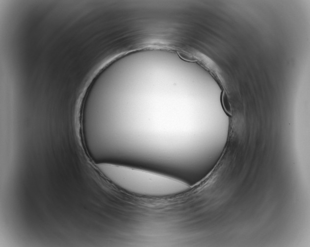 X0000088881435200706080732