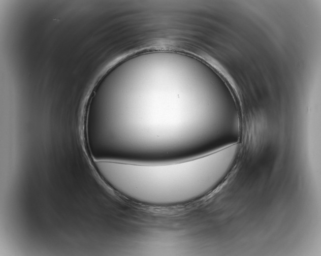 X0000088881437200706080732