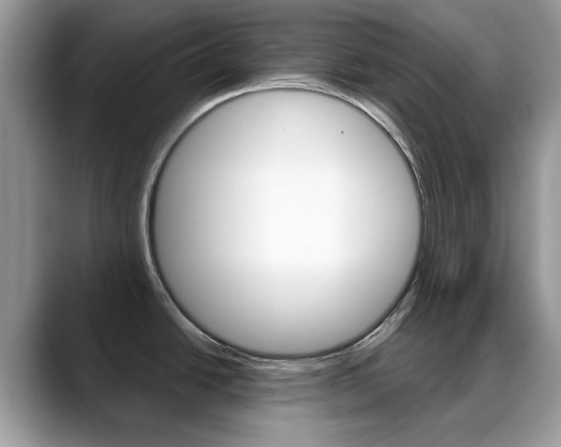 X0000088881438200706080732