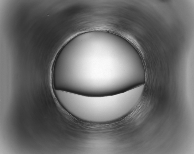 X0000088881439200706080732
