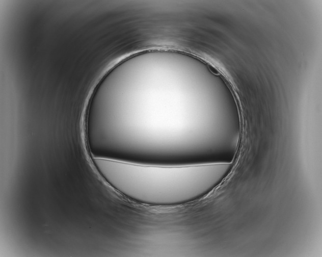X0000088881440200706080732