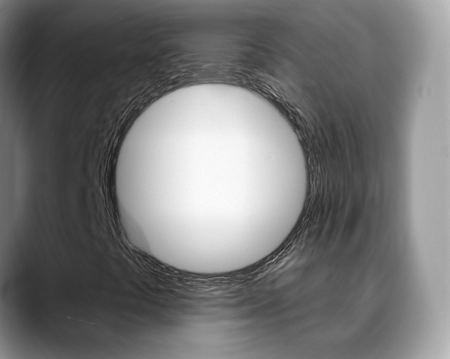 X0000088881441200706080731