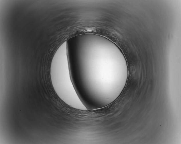 X0000088881442200706080731